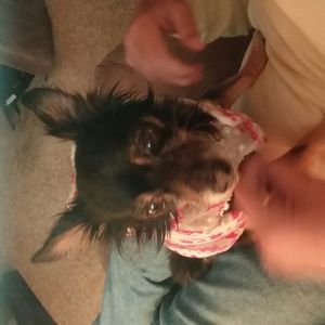 Meet your Posher, James